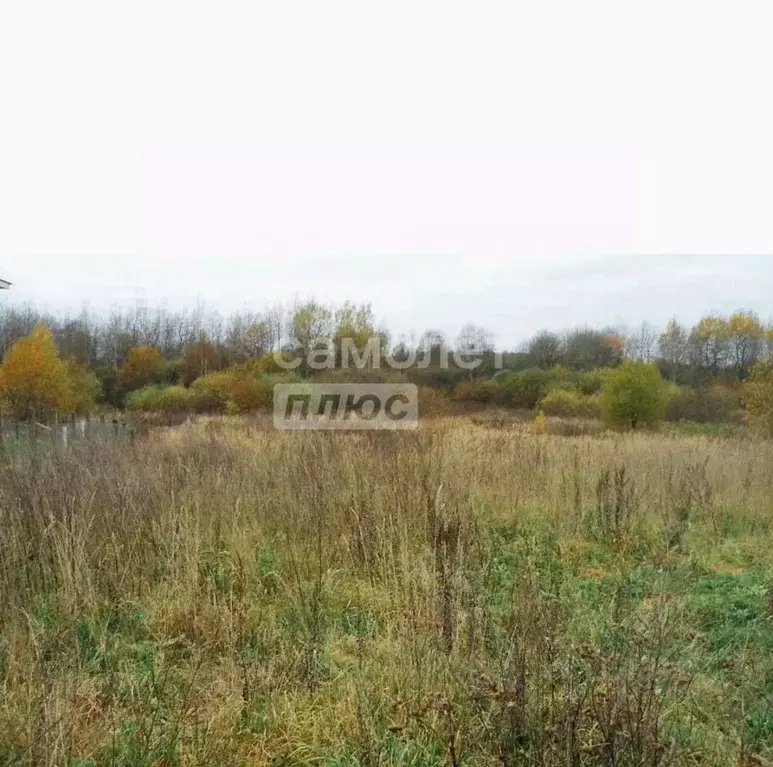 Участок в Калужская область, Село Бабынино с/пос, д. Дяглевка  (10.0 ... - Фото 1
