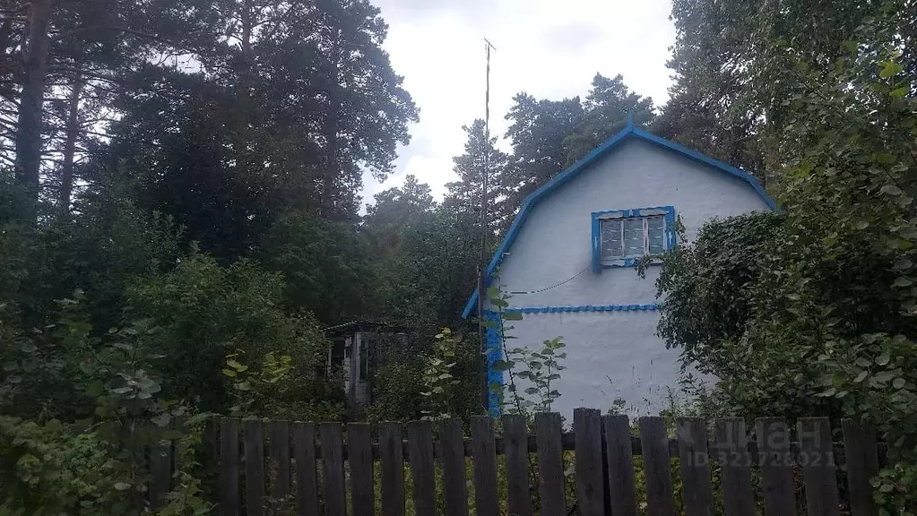 Дом в Алтайский край, Первомайский район, пос. Рогуличный Лесная ул. ... - Фото 2