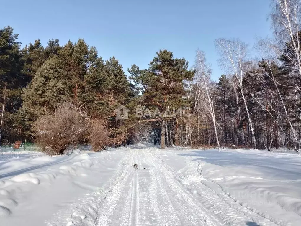 Участок в Кемеровская область, Кемеровский муниципальный округ, с. ... - Фото 0