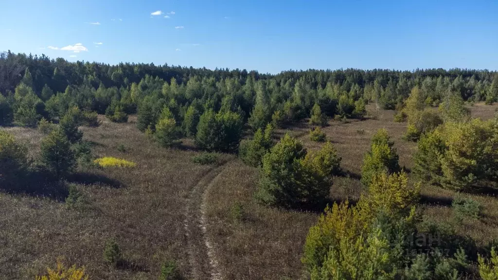 Участок в Татарстан, Лаишевский район, Песчано-Ковалинское с/пос  ... - Фото 2