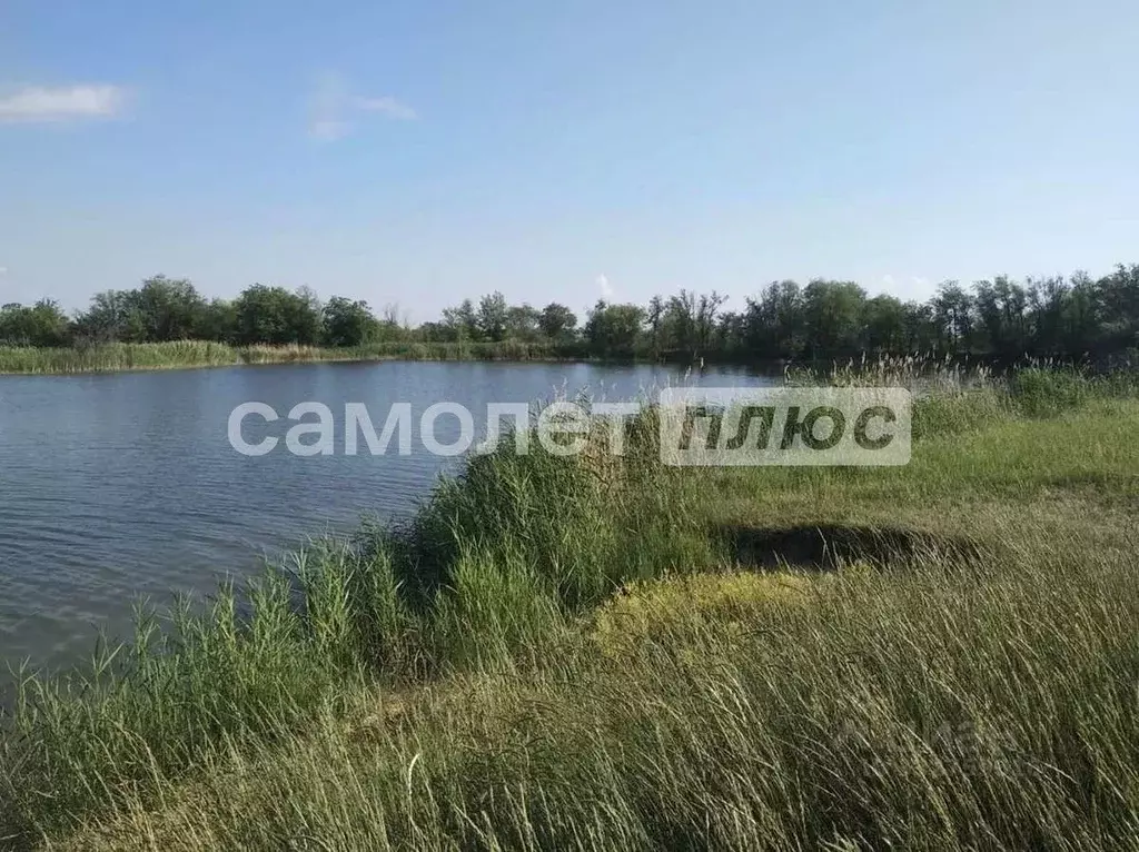 Участок в Самарская область, Красноармейский район, Колывань с/пос, ... - Фото 2