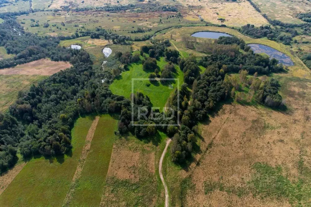 Участок в Московская область, Волоколамский муниципальный округ, с. ... - Фото 2