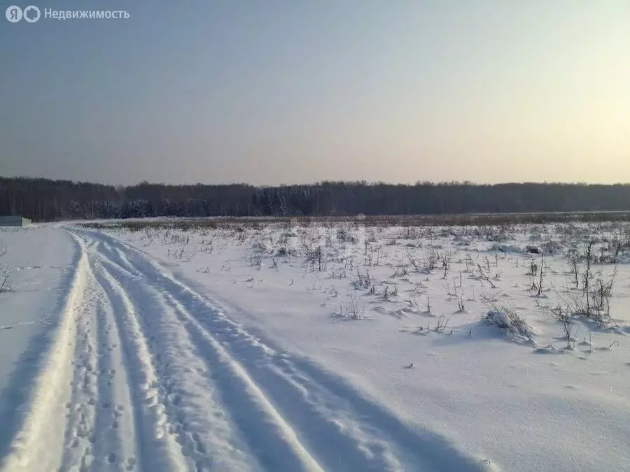 Участок в Томский район, село Коларово, Весенняя улица (8 м) - Фото 1
