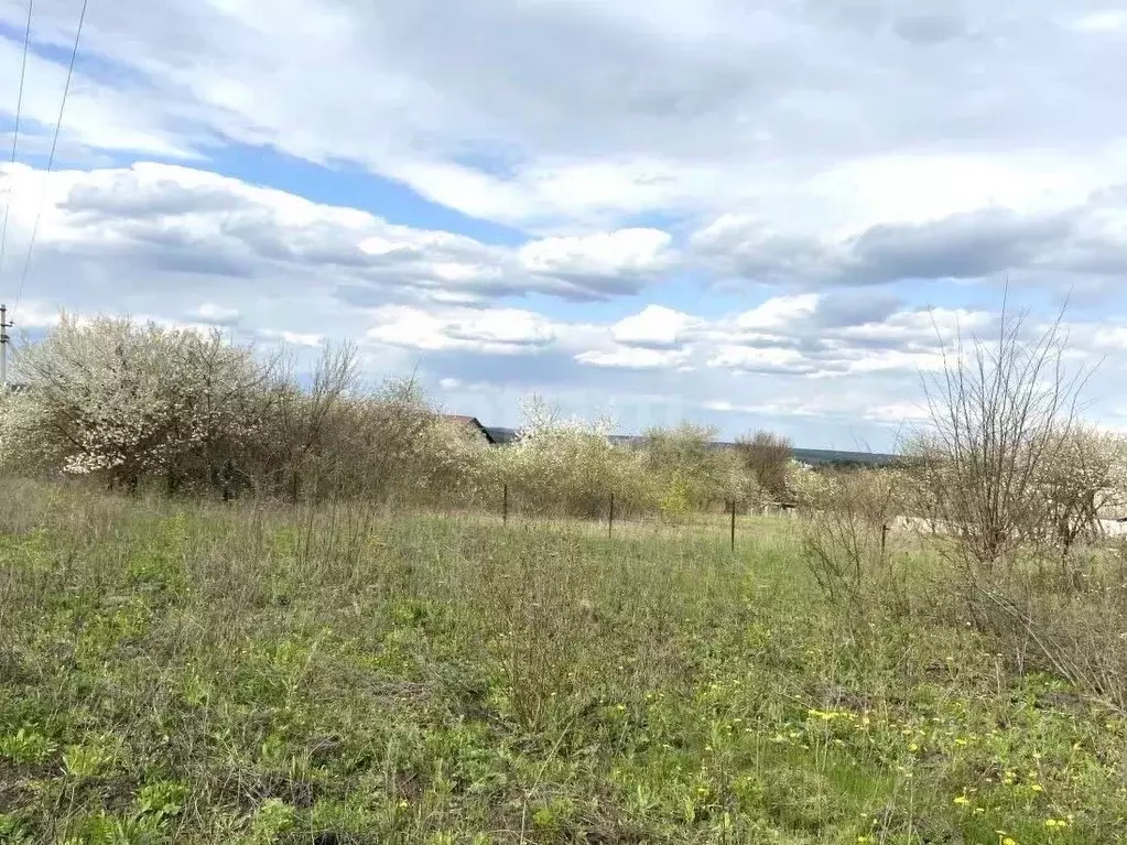 Участок в Белгородская область, Белгородский район, Хохловское с/пос, ... - Фото 1