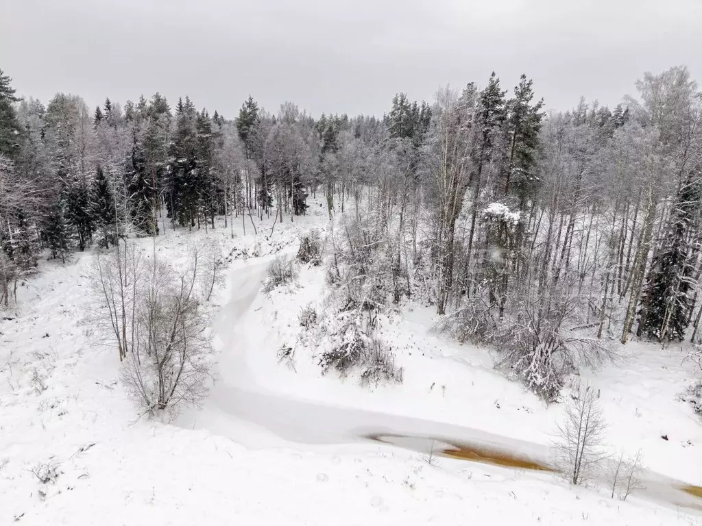 Участок в Ленинградская область, Выборгский район, Первомайское с/пос, ... - Фото 2