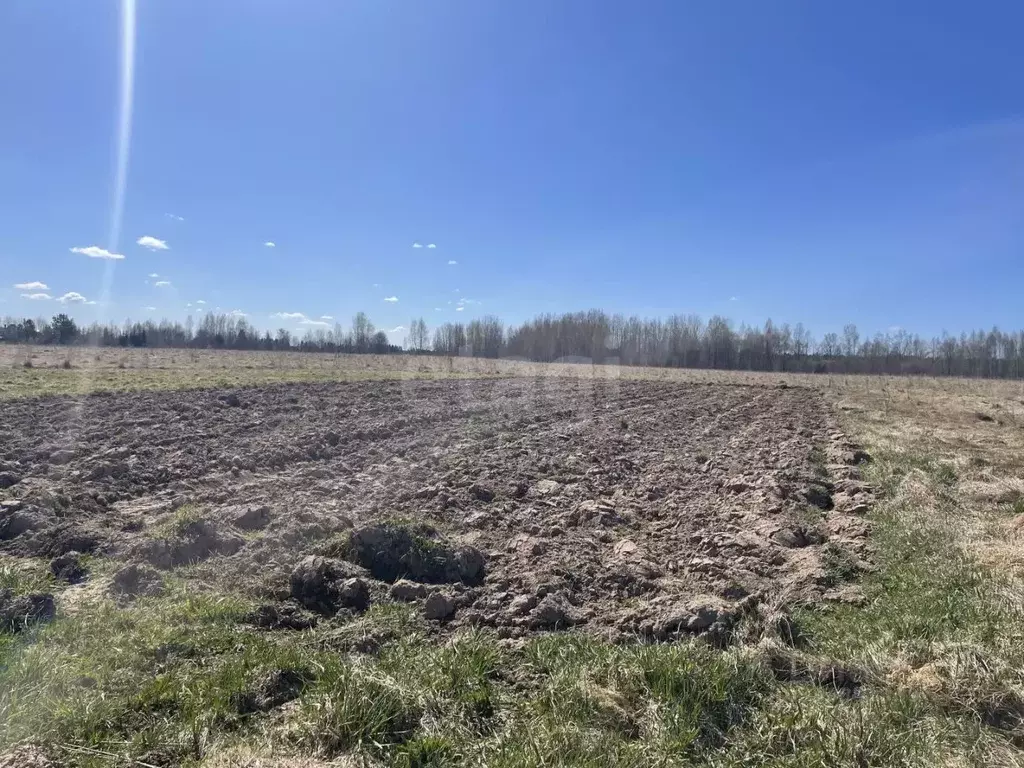 Участок в Псковская область, Печоры ул. Мира (1500.0 сот.) - Фото 1