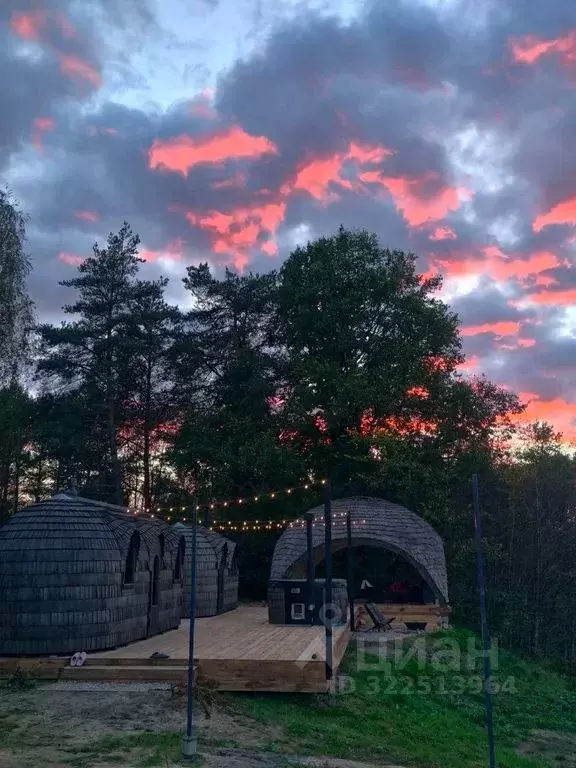 Дом в Псковская область, Псков Торошинская ул. (750 м) - Фото 0