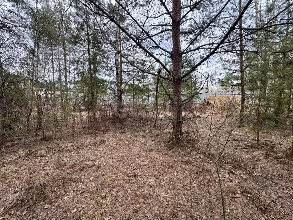 Участок в деревня Толвинка, жилой комплекс Подмосковье, Кутузовская ... - Фото 1