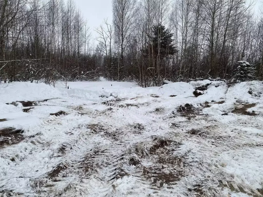 Участок в Пермский край, Добрянка ул. Пермская, 7 (6.0 сот.) - Фото 1