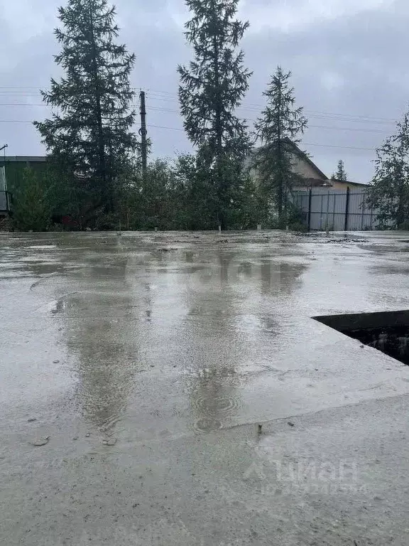 Участок в Ямало-Ненецкий АО, Новый Уренгой Простоквашино дачный ... - Фото 1