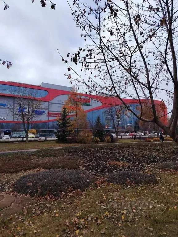 1-к кв. Саратовская область, Саратов Лунная ул., 43А (33.5 м) - Фото 1