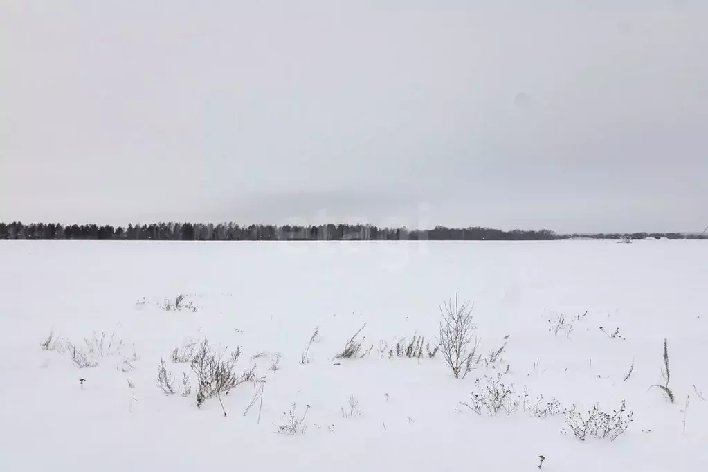 Участок в Тюменская область, Тюменский муниципальный округ, Каменское ... - Фото 1