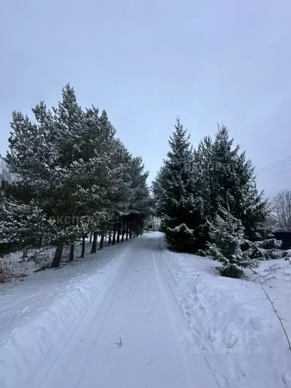 Участок в Новгородская область, Новгородский район, Трубичинское ... - Фото 1