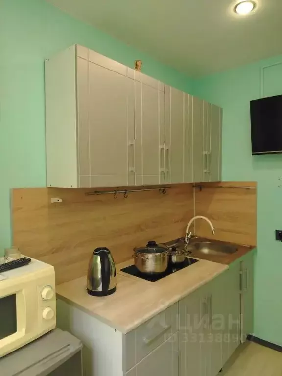 Студия Московская область, Ивантеевка Пушкинский городской округ, ... - Фото 2