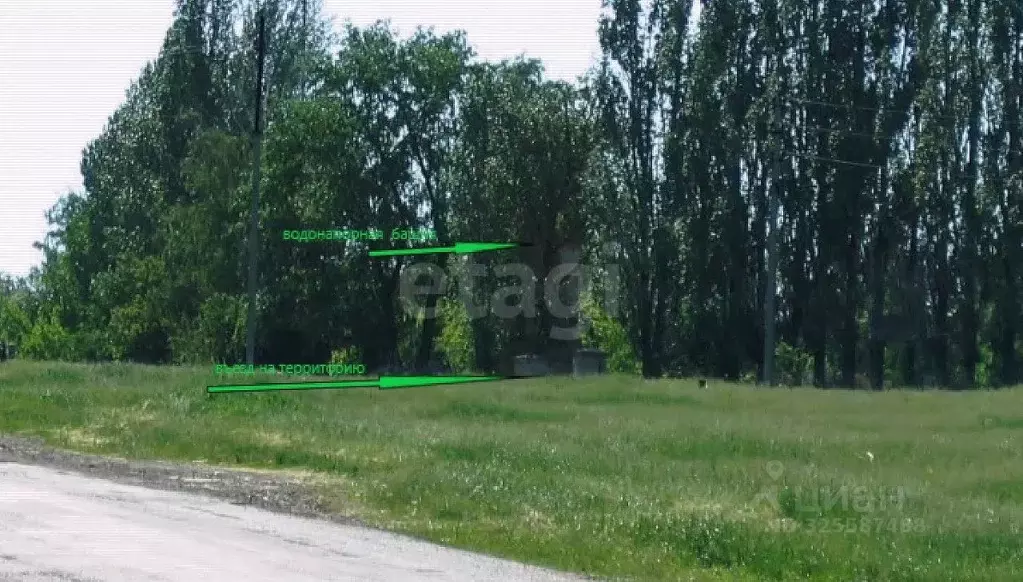 Участок в Воронежская область, Подгоренский район, Белогорьевское ... - Фото 2