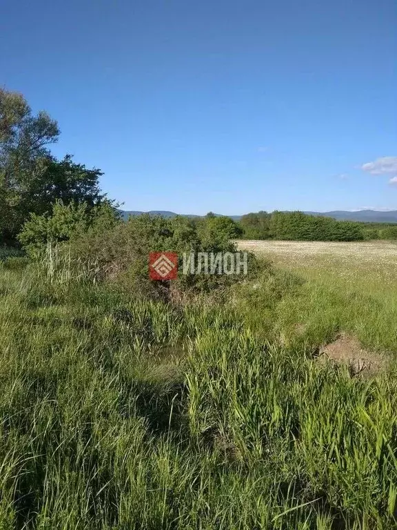 Участок в Севастополь с. Орлиное, ул. Рябиновая, 13 (190.0 сот.) - Фото 0