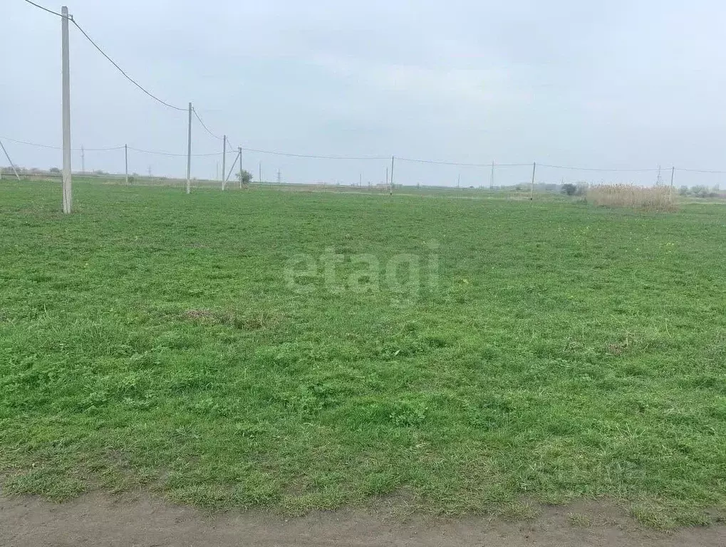 Участок в Краснодарский край, Темрюкский район, Курчанское с/пос, пос. ... - Фото 2