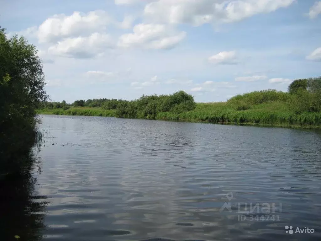 Участок в Псковская область, Пушкиногорье городское поселение, д. ... - Фото 0