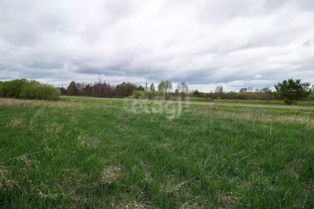 участок в тюменская область, тюменский район, с. салаирка (9.0 сот.) - Фото 0