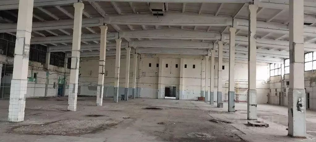 Производственное помещение в Ульяновская область, Димитровград ул. ... - Фото 1