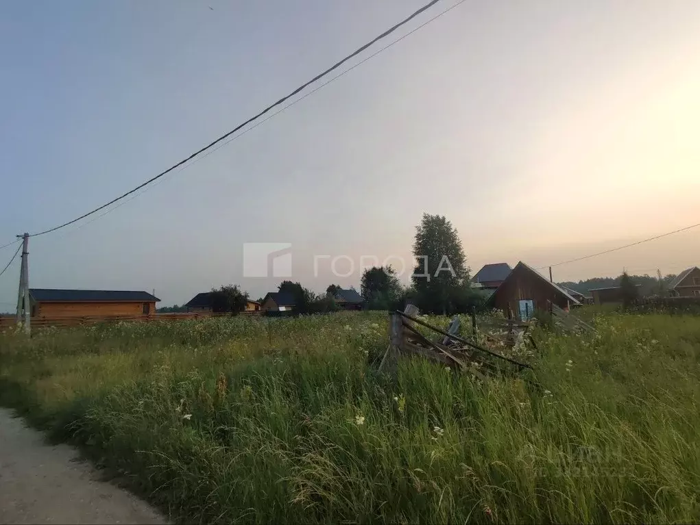Участок в Новосибирская область, Новосибирский район, Толмачевский ... - Фото 1