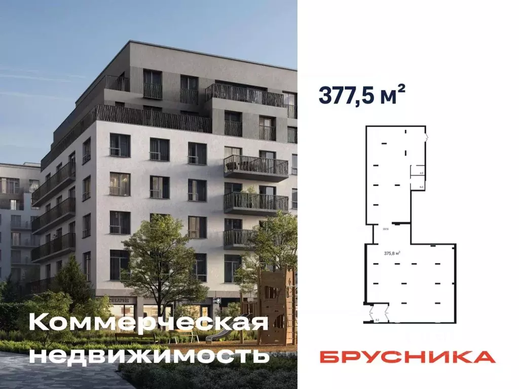 Помещение свободного назначения в Новосибирская область, Новосибирск ... - Фото 1