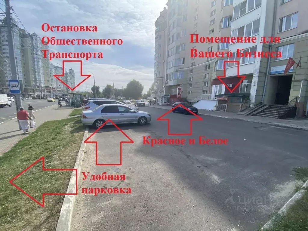 Помещение свободного назначения в Орловская область, Орел ул. Максима ... - Фото 2