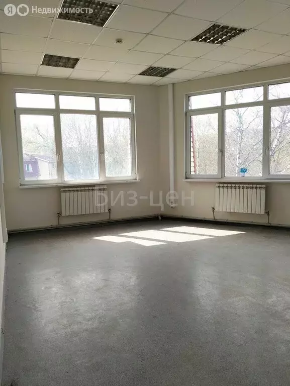 Офис (34.5 м) - Фото 2