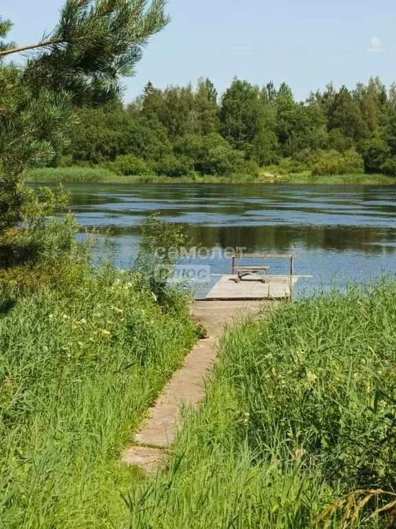 Участок в Ленинградская область, Кингисеппский район, Куземкинское ... - Фото 2