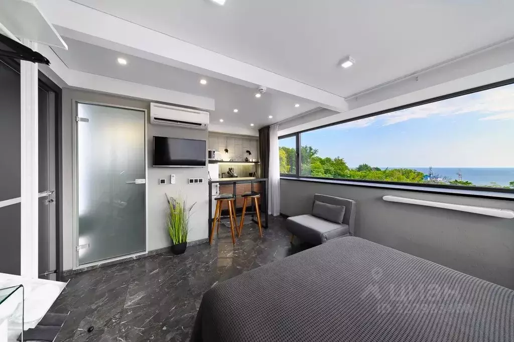 1-к кв. Краснодарский край, Сочи Курортный просп., 92/5 (21.0 м) - Фото 2