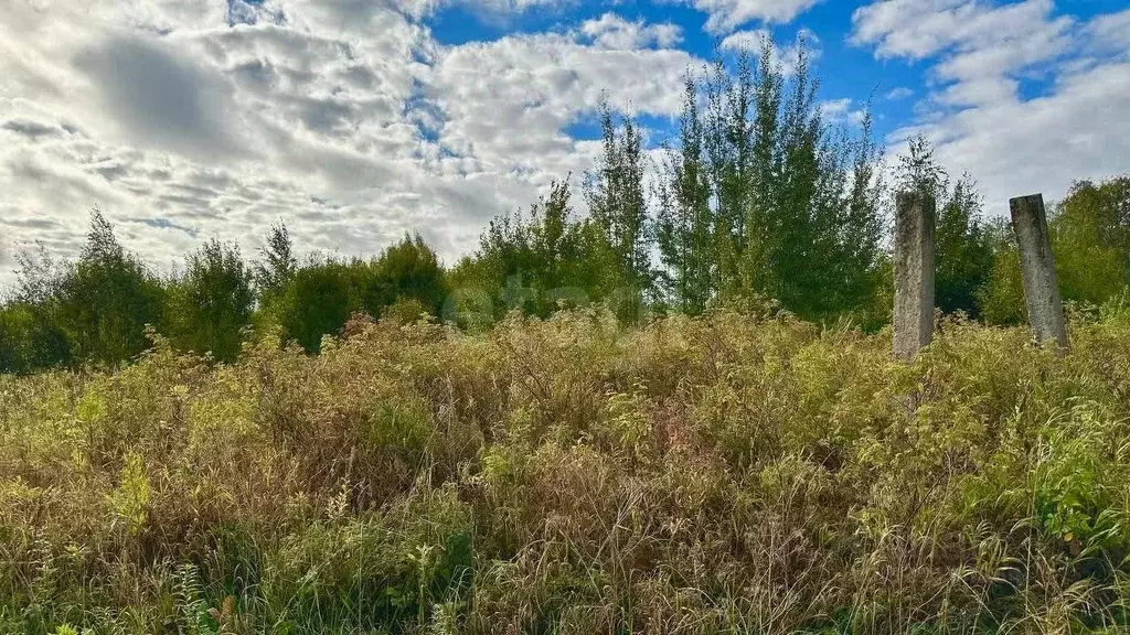 Участок в Вологодская область, Череповец пос. Якунино,  (15.0 сот.) - Фото 1