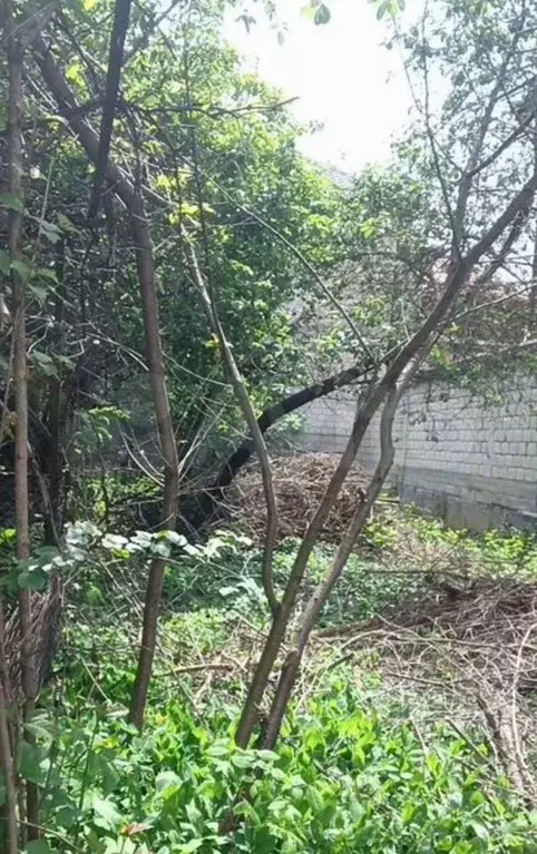 Дом 67 м на участке 8 сот. - Фото 1