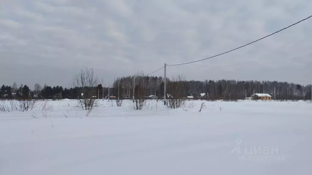 Участок в Московская область, Дмитровский муниципальный округ, д. ... - Фото 1