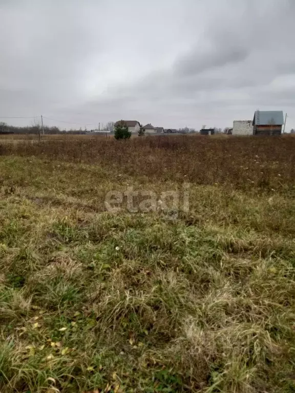 Участок в Калужская область, Перемышль с/пос, д. Хохловка  (26.54 ... - Фото 1