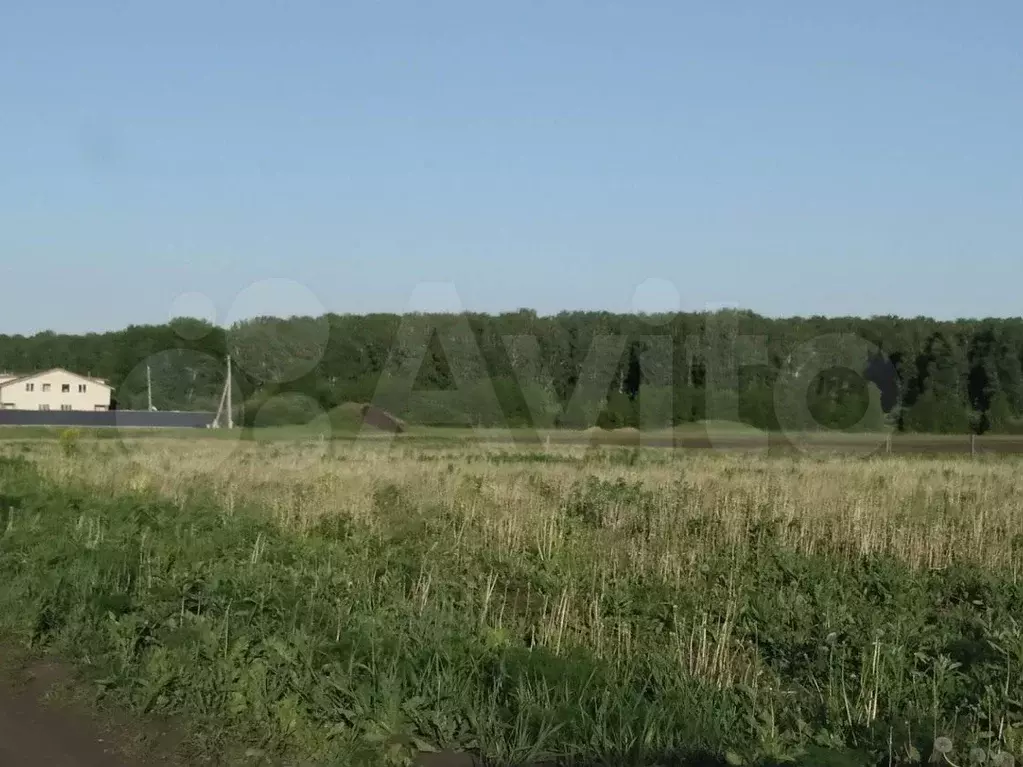 Участок 11,3 сот. (ИЖС) - Фото 0