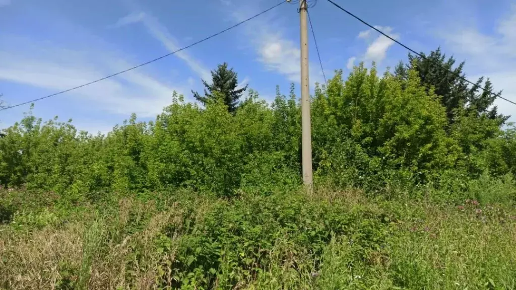 Участок в Амурская область, Белогорск ул. Леваневского, 26 (12.0 сот.) - Фото 2