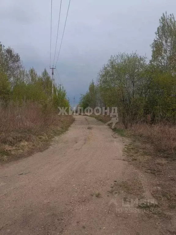 Участок в Амурская область, Благовещенск Игнатьевское ш. (6.0 сот.) - Фото 1