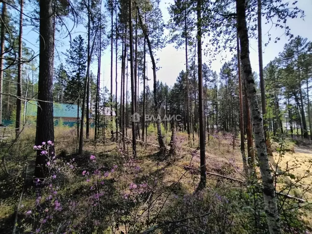 Участок в Бурятия, Прибайкальский район, с. Горячинск  (6.0 сот.) - Фото 1