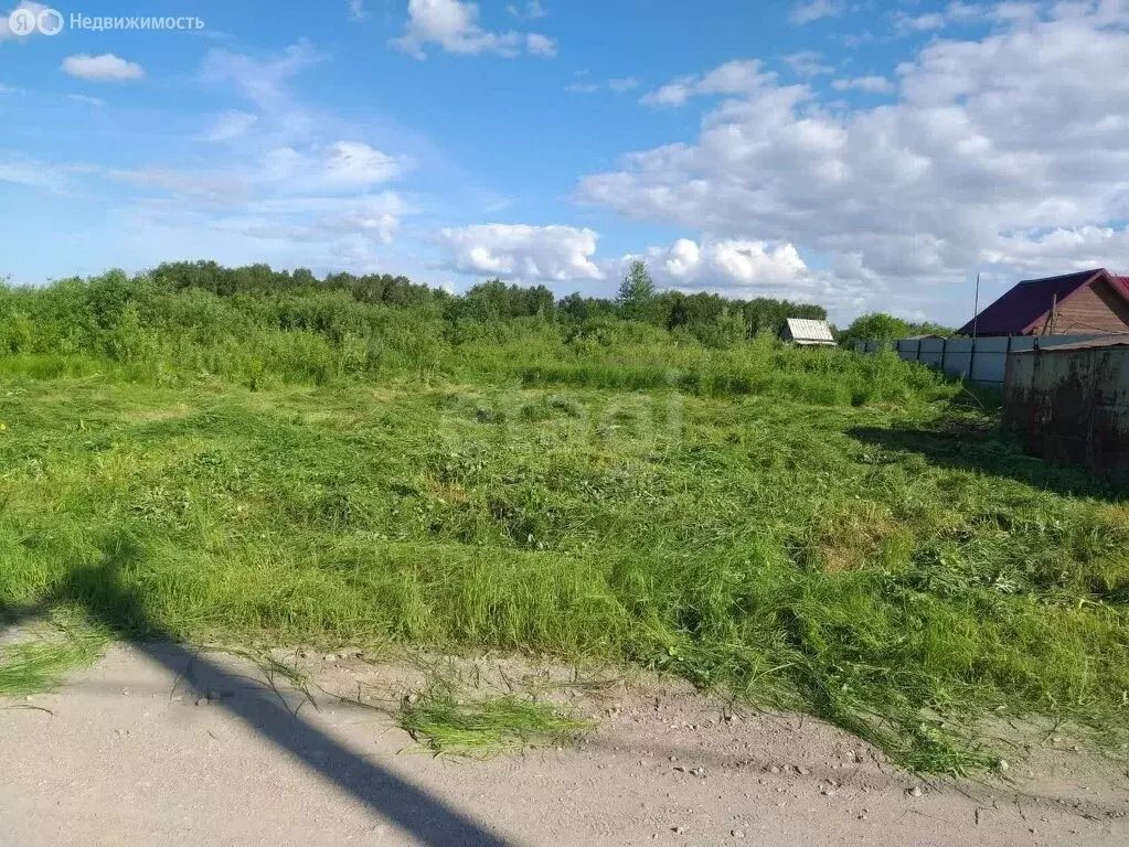 Участок в Колыванский район, товарищество собственников недвижимости ... - Фото 1