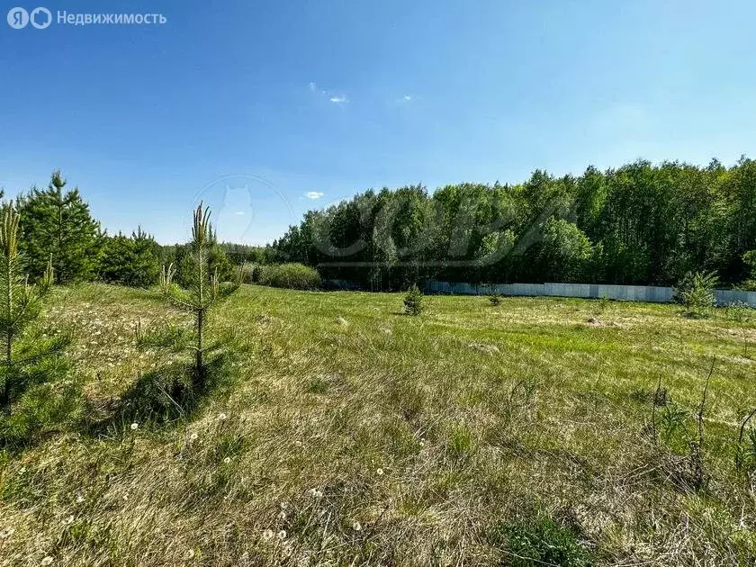 Участок в Тюменский район, село Кулига (15 м) - Фото 1