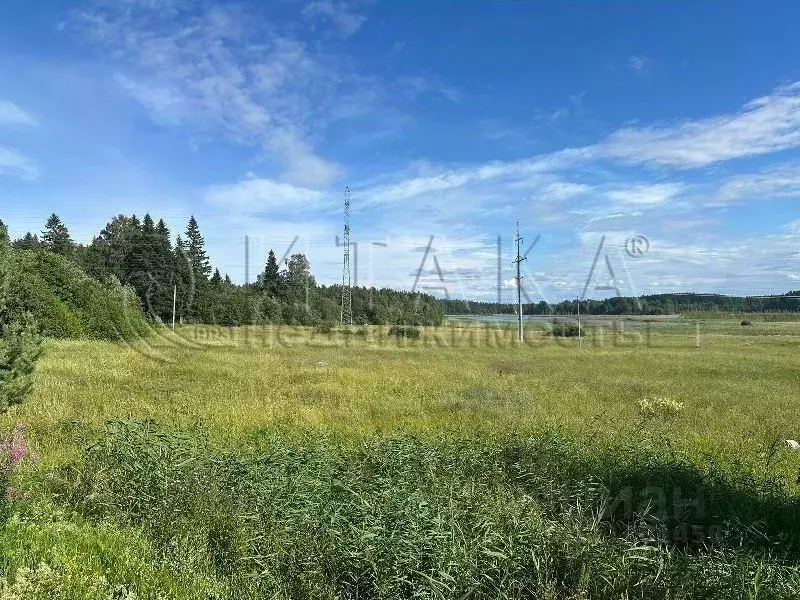 Участок в Ленинградская область, Выборгский район, Каменногорское ... - Фото 1