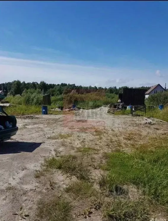 Участок в Калининградская область, Гурьевский муниципальный округ, СНТ ... - Фото 1