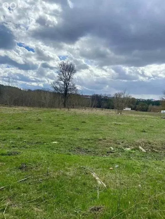 Участок в село Шопино, Пермская улица (10 м) - Фото 2