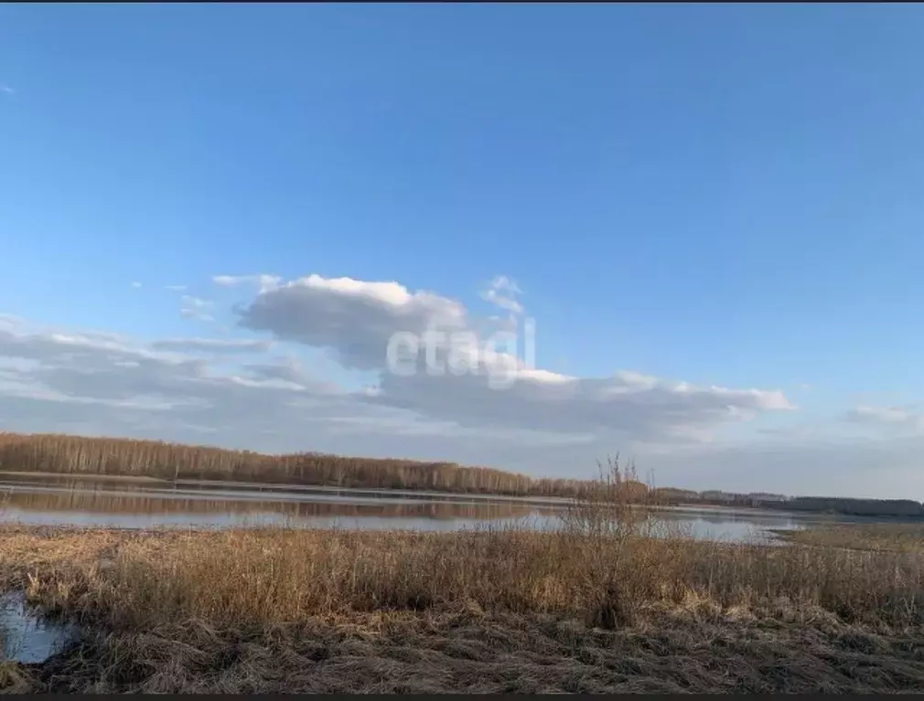 Участок в Тамбовская область, Рассказовский муниципальный округ, с. ... - Фото 0