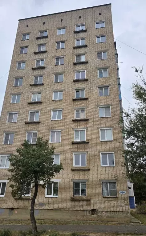 3-к кв. Волгоградская область, Камышин ул. Королева, 14 (53.8 м) - Фото 1