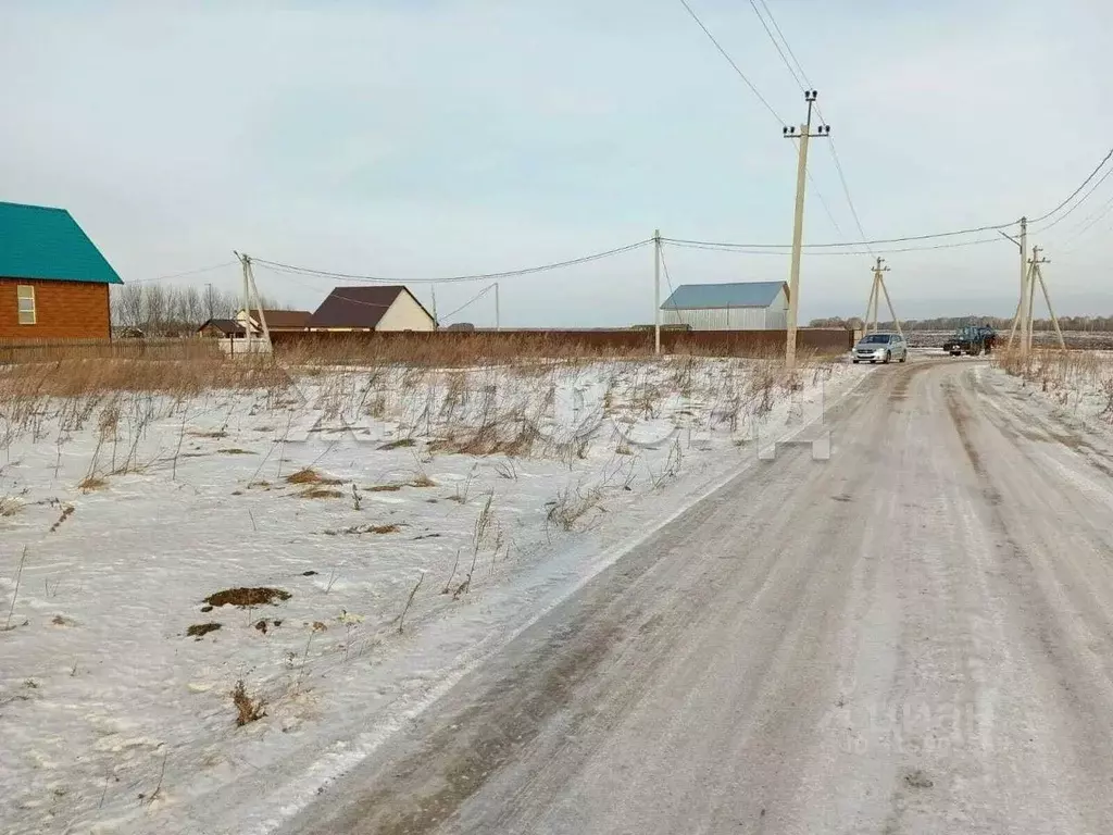 Участок в Новосибирская область, Колыванский район, с. Скала ул. ... - Фото 0