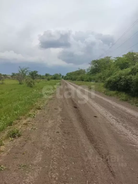 Участок в Ростовская область, Азов Азовский район, Х-Виллаж кп, ул. ... - Фото 1