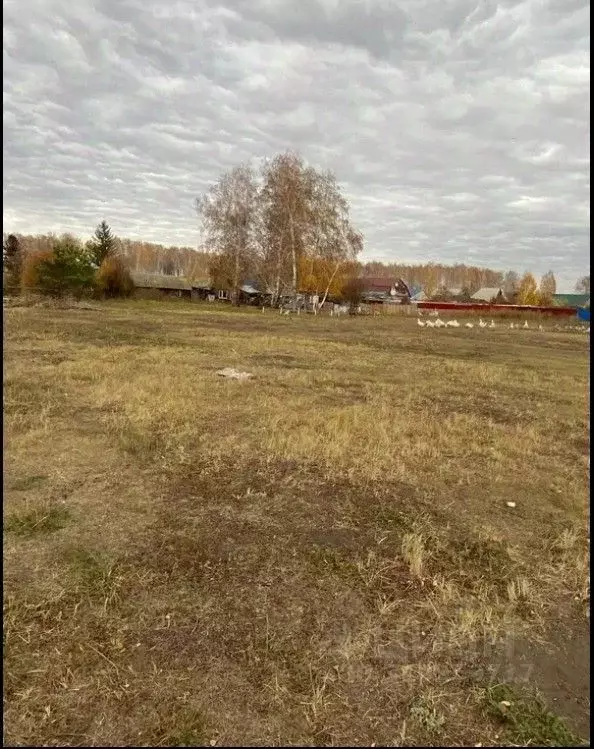 Участок в Омская область, Омск пос. Линейный,  (1.0 сот.) - Фото 1