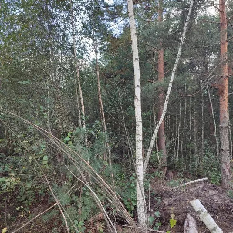 Участок в Московская область, Павлово-Посадский городской округ, д. ... - Фото 0