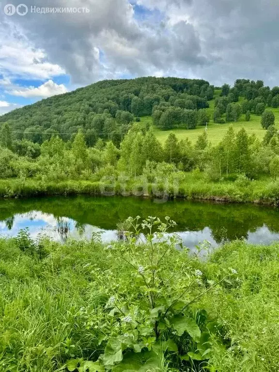 Участок в Солонешенский район, село Солонешное (530 м) - Фото 0